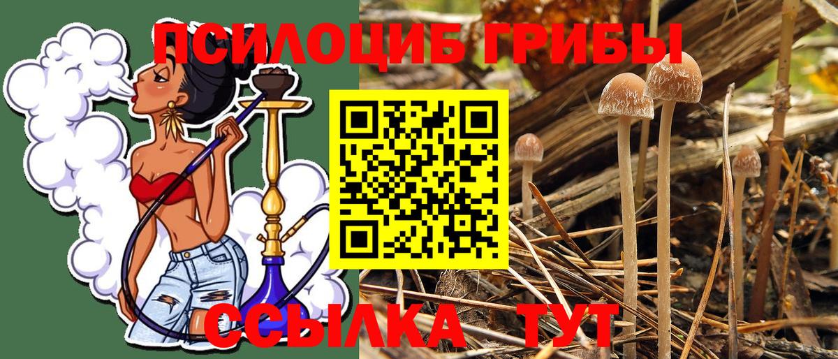 Псилоцибиновые грибы Cubensis  Галлюциногенные грибы Psilocybine cubensis  Вход с VPN  Каменка 